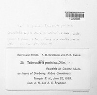 Image Associated With the Occurence